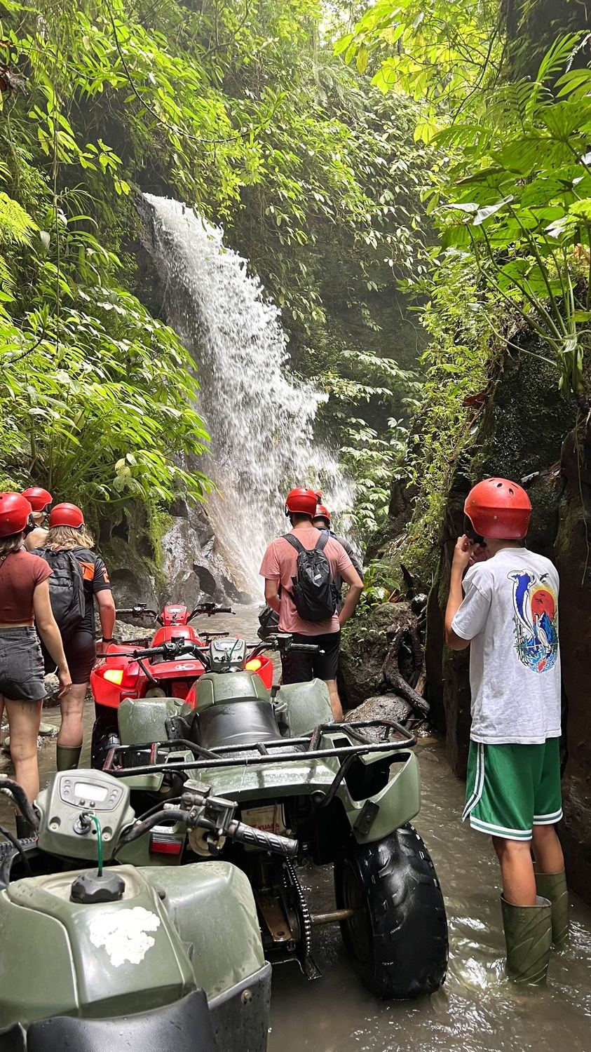 Grupo en la catarata
