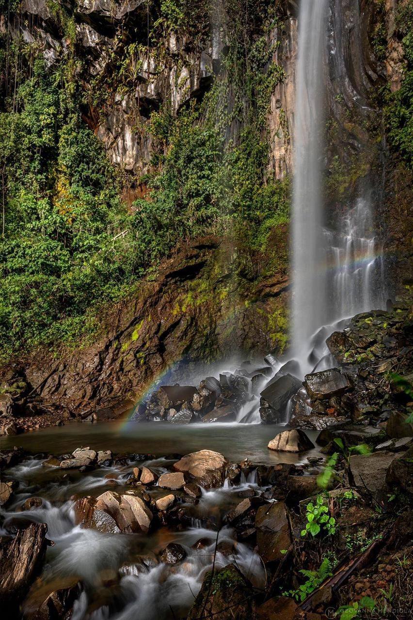 Catarata en el bosque