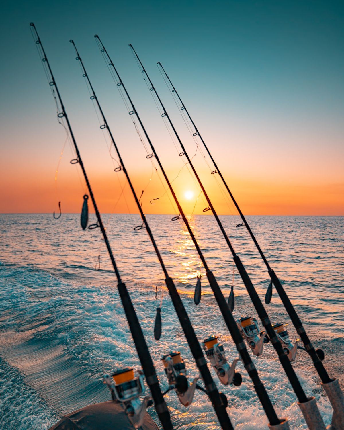 Cañas de pesca al atardecer