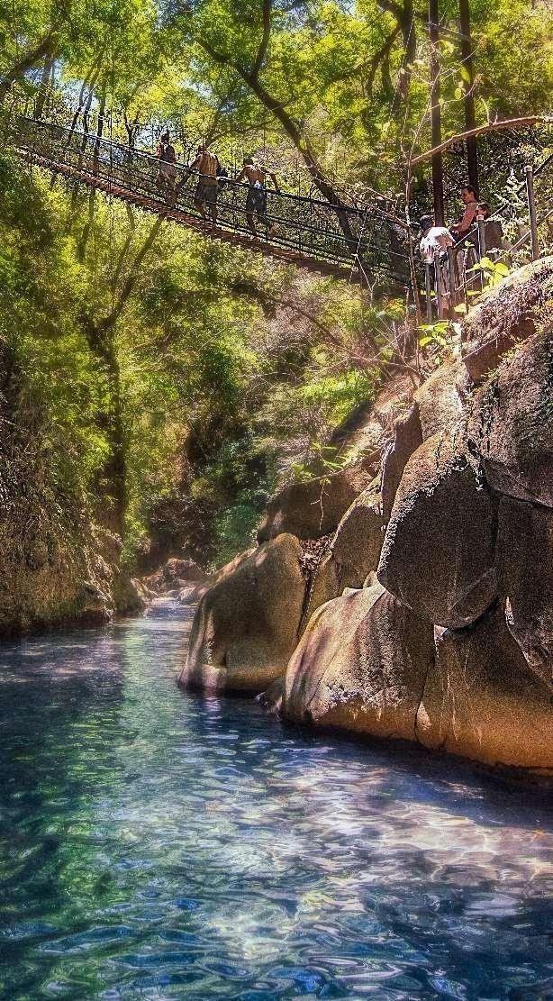 Puente colgante sobre el cañón
