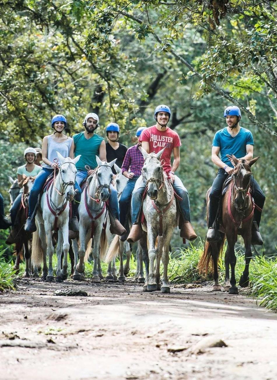 Grupo en cabalgata
