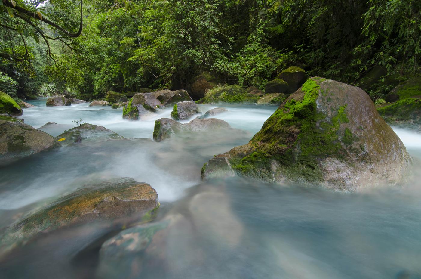 Río en el bosque de Tenorio