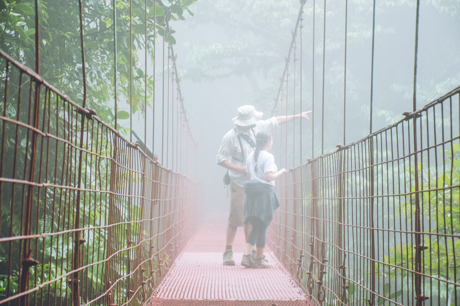 Puentes colgantes en Monteverde