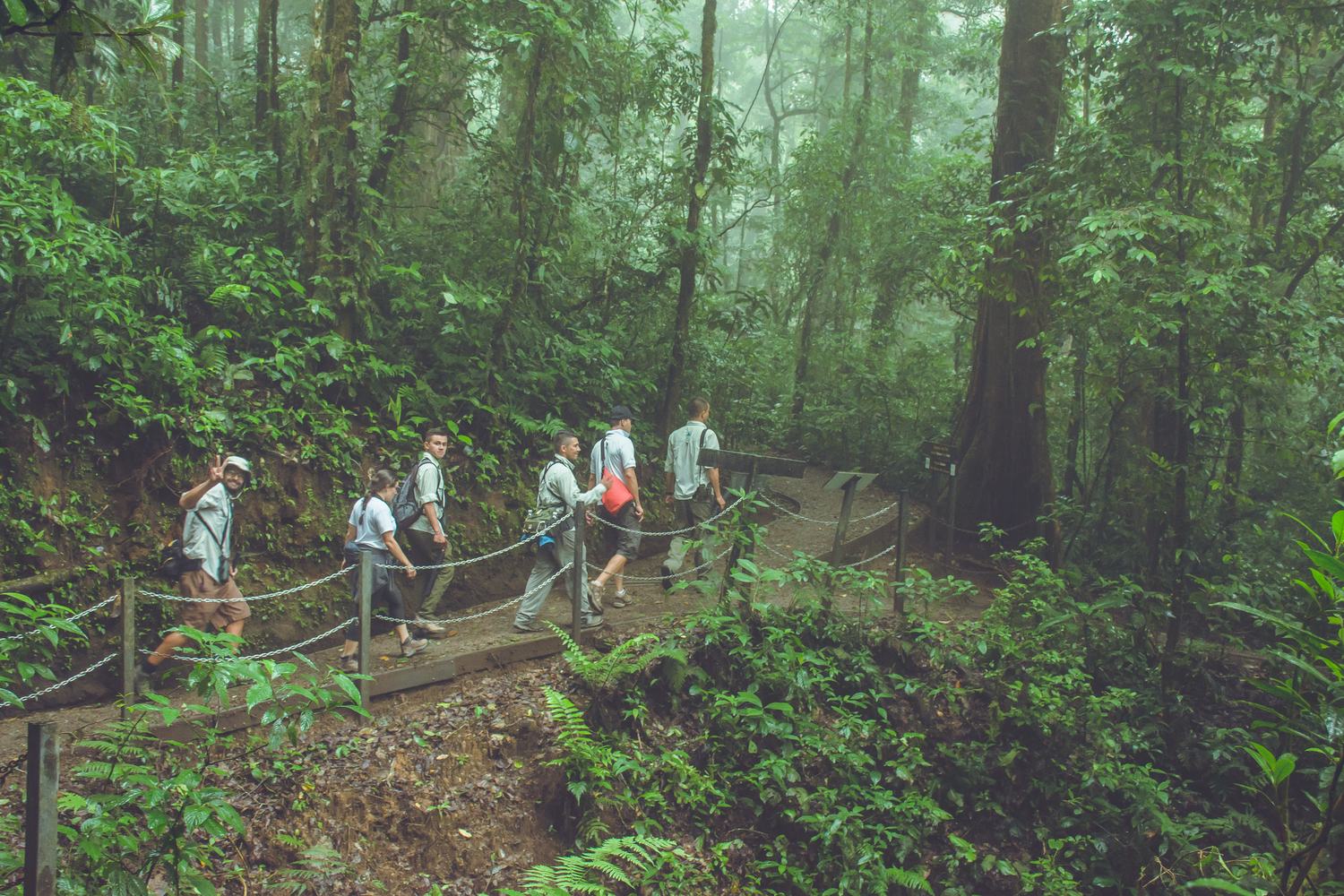 Caminata guiada por el bosque nuboso