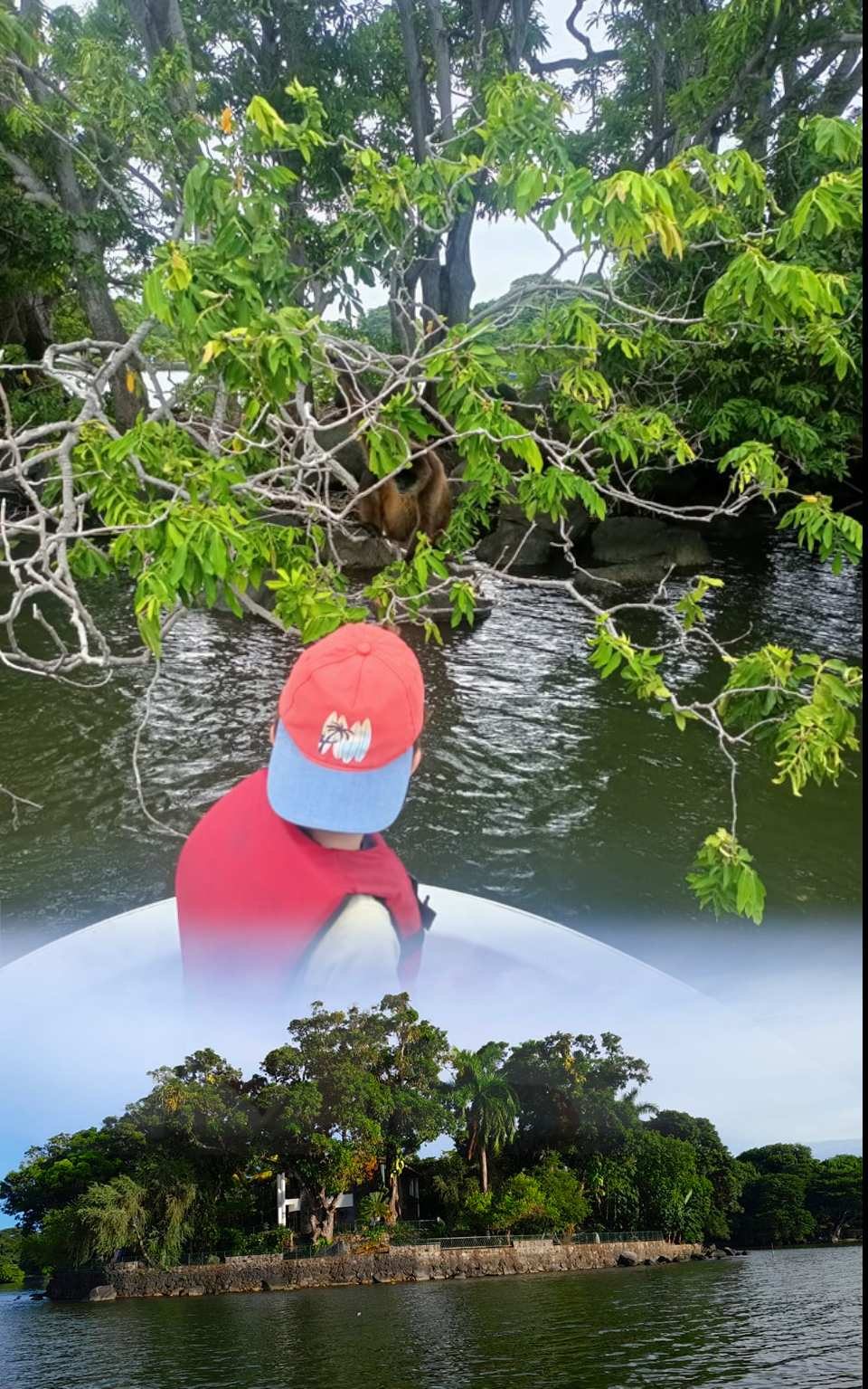 Bote hacia la Isla de los Monos